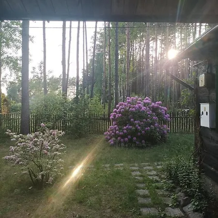 Fantastyczny W Lesie * Dlugosiodlo