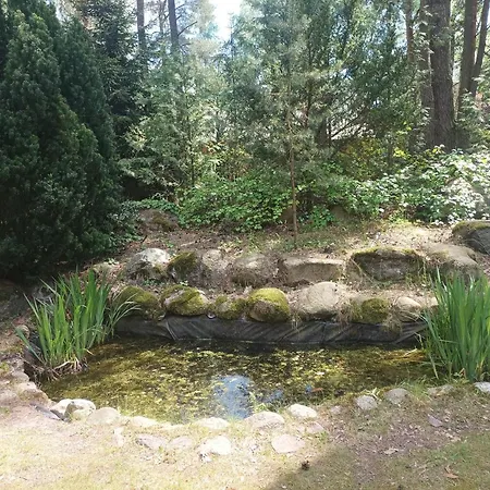 Hébergement de vacances Fantastyczny Dom W Lesie