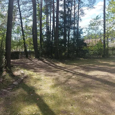 Fantastyczny Dom W Lesie Dlugosiodlo