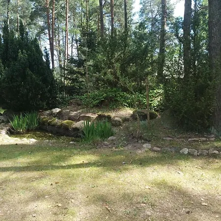 Fantastyczny Dom W Lesie * Dlugosiodlo