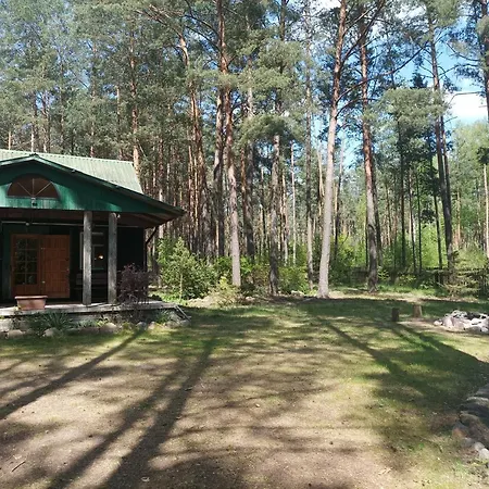 Fantastyczny W Lesie Dlugosiodlo