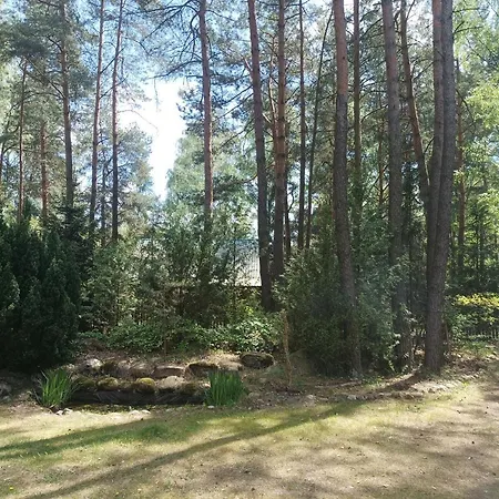 Fantastyczny Dom W Lesie * Dlugosiodlo