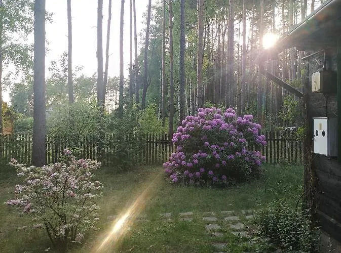 Fantastyczny Dom W Lesie * Długosiodło