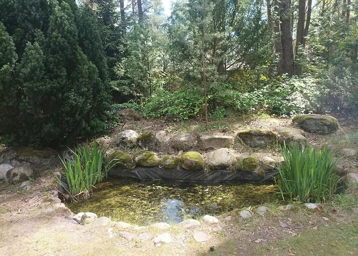 Hébergement de vacances Fantastyczny Dom W Lesie