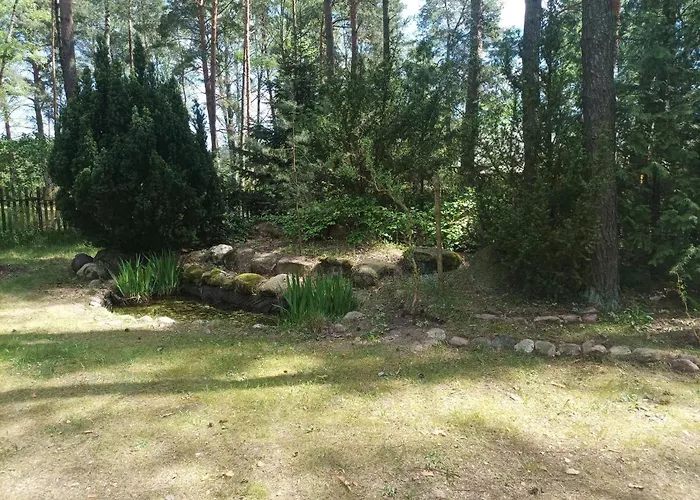 Fantastyczny Dom W Lesie * Długosiodło