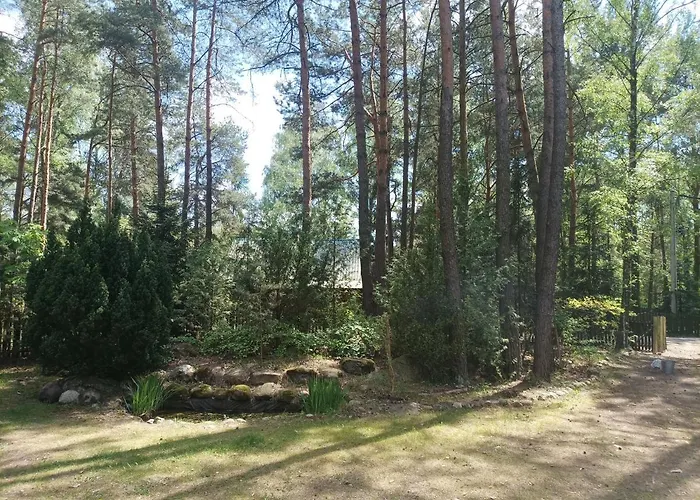 Fantastyczny Dom W Lesie * Dlugosiodlo